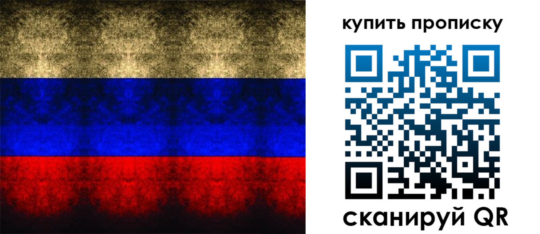 прописка в Ярославской области